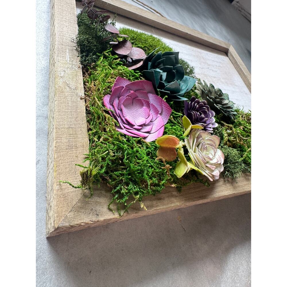 Handmade 8x10 Preserved Moss Wall Art w/ Paper Succulents Rustic Botanical Decor - Picture 9 of 12